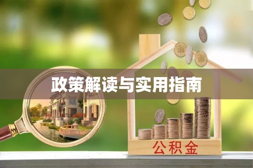 南市政策解读与实用指南
