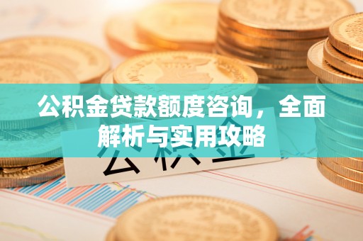 南市公积金贷款额度咨询，全面解析与实用攻略